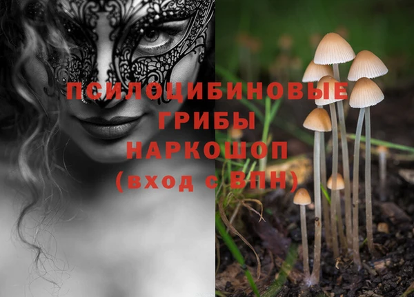 синтетический гашиш Костерёво