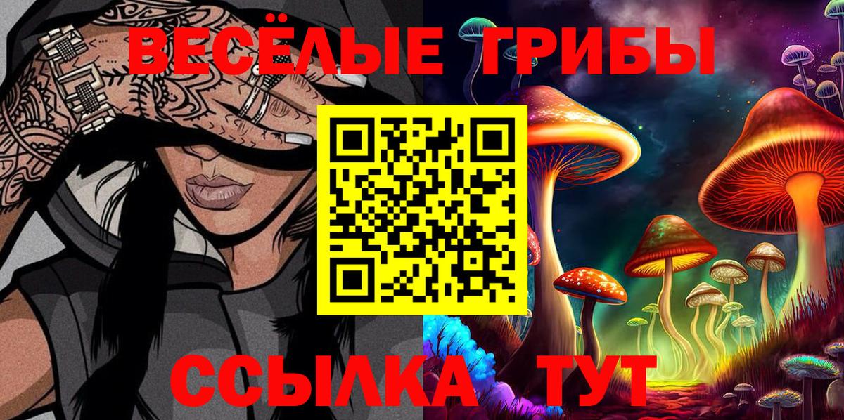 купить наркоту  Вход с VPN  Красноперекопск  Псилоцибиновые грибы Cubensis 